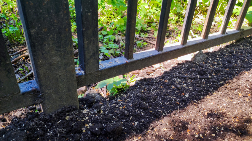 Узел металлического забора и слой свежего грунта у зелёных насаждений