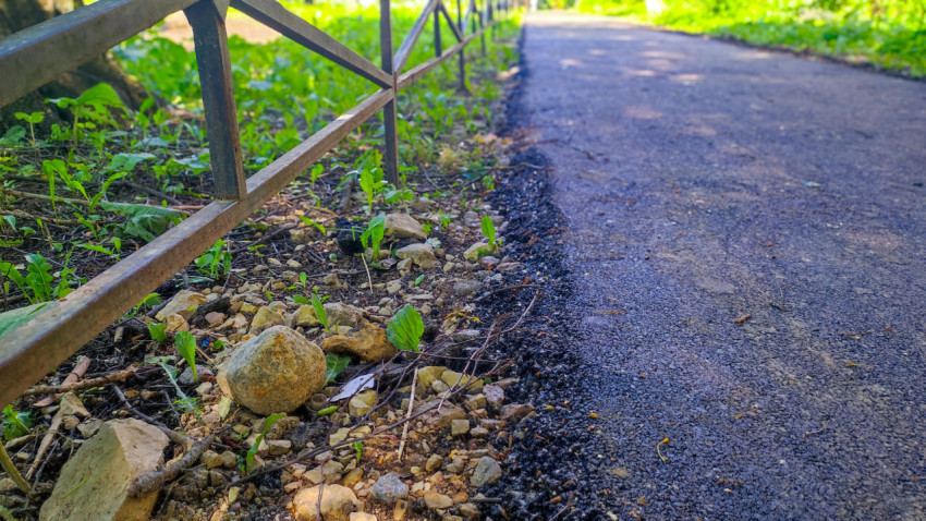 Кромка асфальтовой дорожки и низкое ограждение на зелёном участке двора