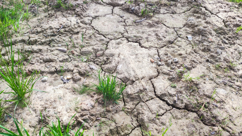 Растрескавшаяся глинистая почва с травой и мелкими камнями крупным планом