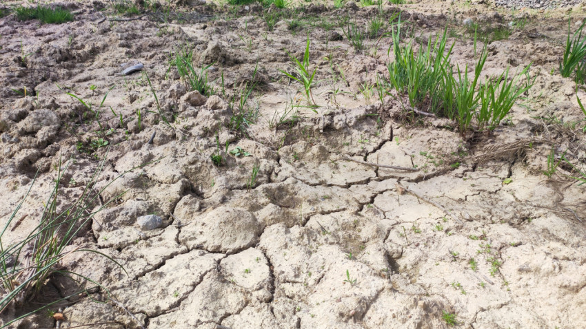 Растрескавшийся грунт с камешками и пучками травы крупным планом