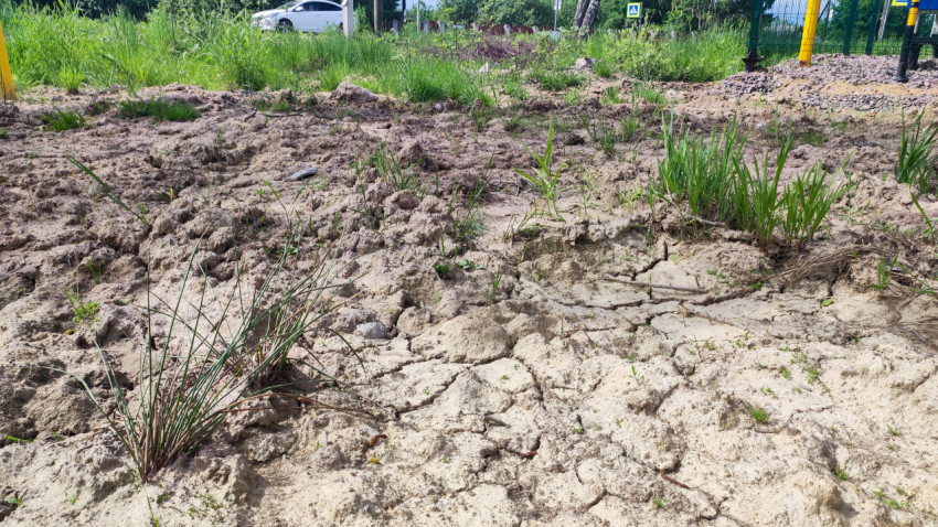 Растрескавшаяся почва у ограждения и дорожной зоны с автомобилем на фоне