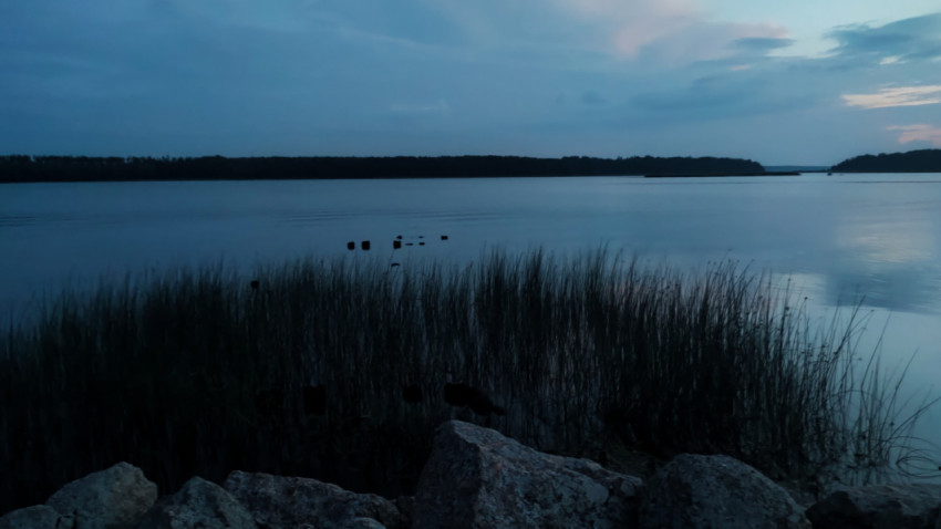 Берег озера с камышами и валунами в сумерках перед заходом солнца