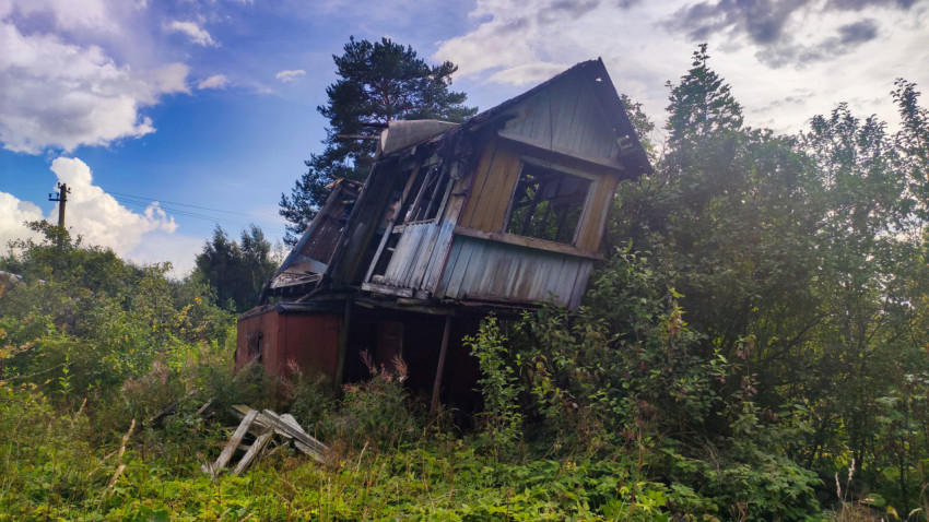 Покосившийся заброшенный деревянный дом с разрушенной крышей среди зарослей
