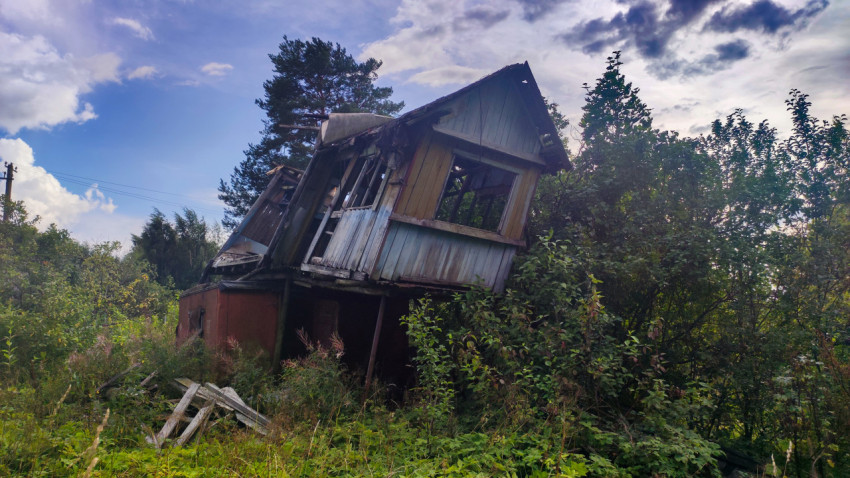 Заброшенный деревянный дом, накренившийся в сторону, в плотной зелёной растительности