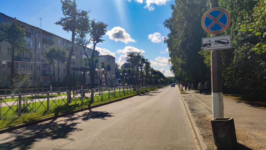 Улица с деревьями и припаркованными машинами, где установлен знак запрета остановки