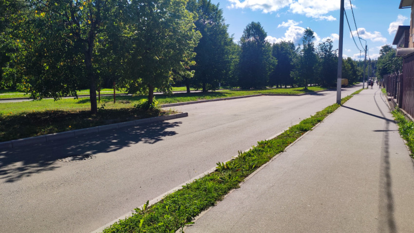 Тротуар и проезжая часть городской улицы вдоль зелёной зоны с деревьями и пешеходами