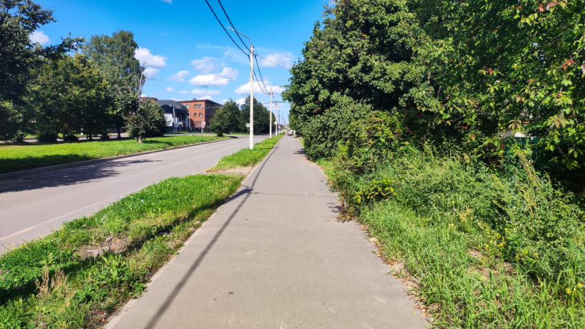Длинный тротуар вдоль дороги уходит в перспективу рядом с зарослями кустов и линиями проводов