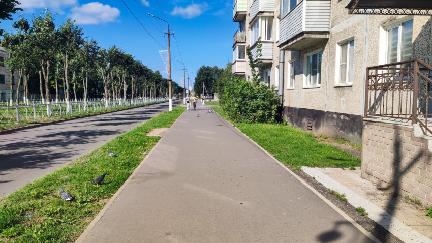 На тротуаре у пятиэтажки пасутся голуби, а рядом тянется пустая дорога с ограждениями