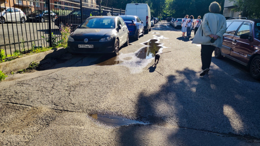 Дворовой проезд с лужей, припаркованными автомобилями и пешеходами у ограждения