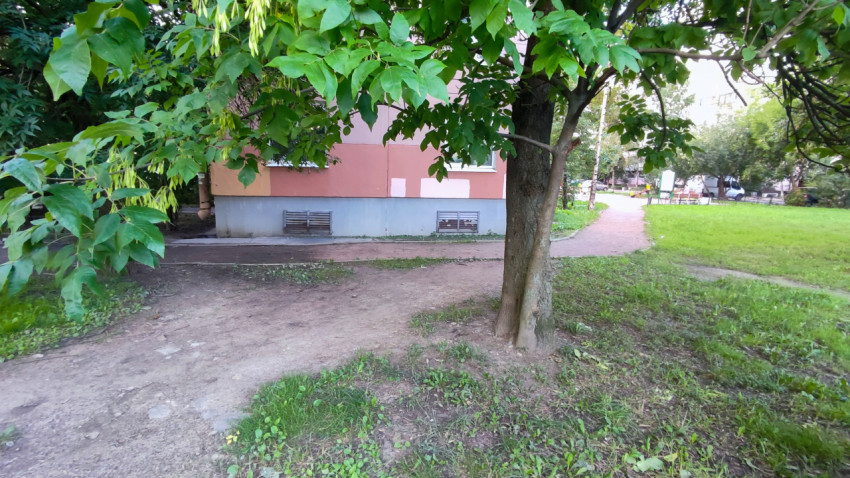 Пешеходная тропинка во дворе у жилого дома под кроной дерева