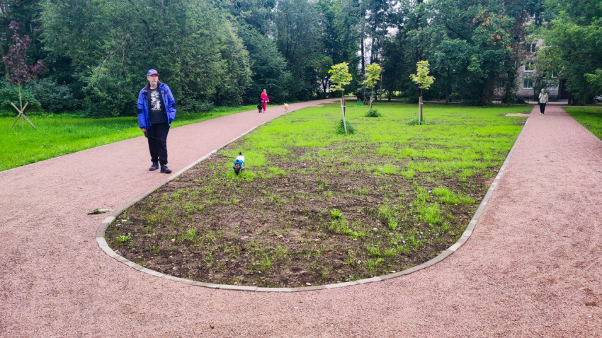 Прогулка с собакой на поводке по парковой дорожке