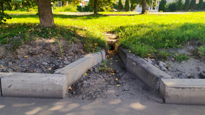 Бордюрный водоотвод с проёмом в ливневую трубу на газоне рядом с деревом