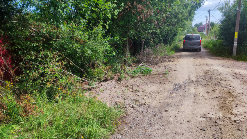 Грунтовая дорога с разровненной обочиной и срезанными ветками после расчистки