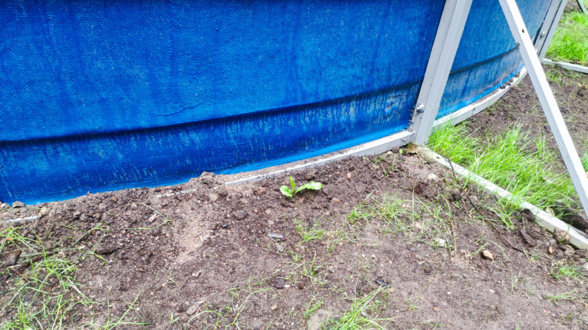 Синий борт ограждения и насыпь грунта у опоры крупным планом