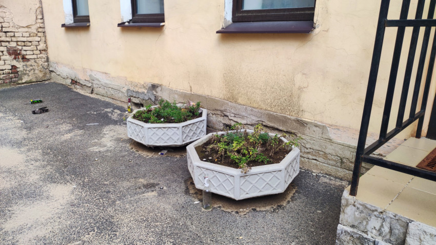 Цветочные кашпо у стены жилого дома на асфальте рядом с зелёными насаждениями во дворе