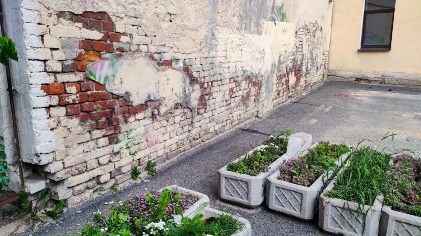 Бетонные вазоны с цветами у старой кирпичной стены с облупленной штукатуркой во дворе