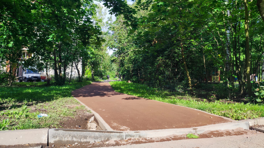 Новая асфальтовая дорожка в тенистом парке среди деревьев и травы