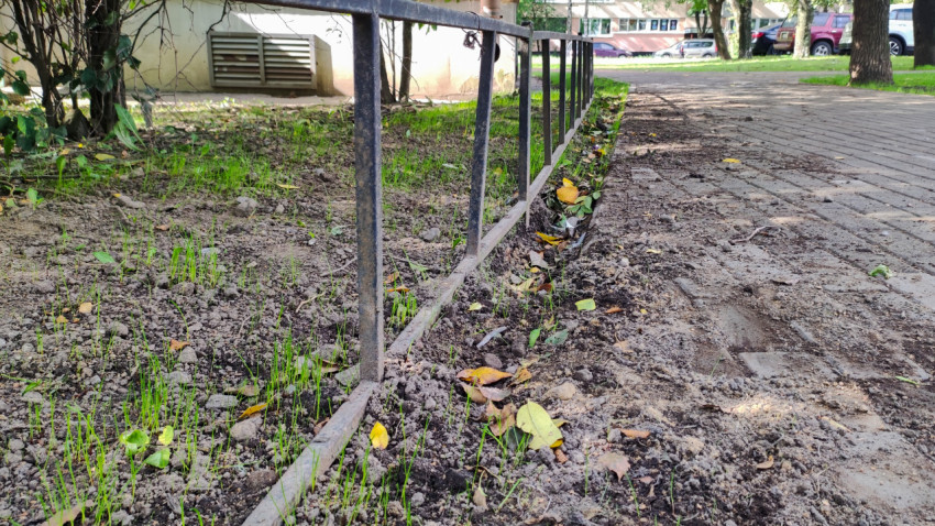 У клумбы с молодой травой стоит декоративный заборчик, а на плитке видно землю и сухие листья