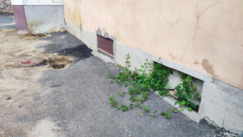 Цоколь жилого дома с вентиляционной решёткой, трещинами штукатурки и заросшей полосой у асфальта