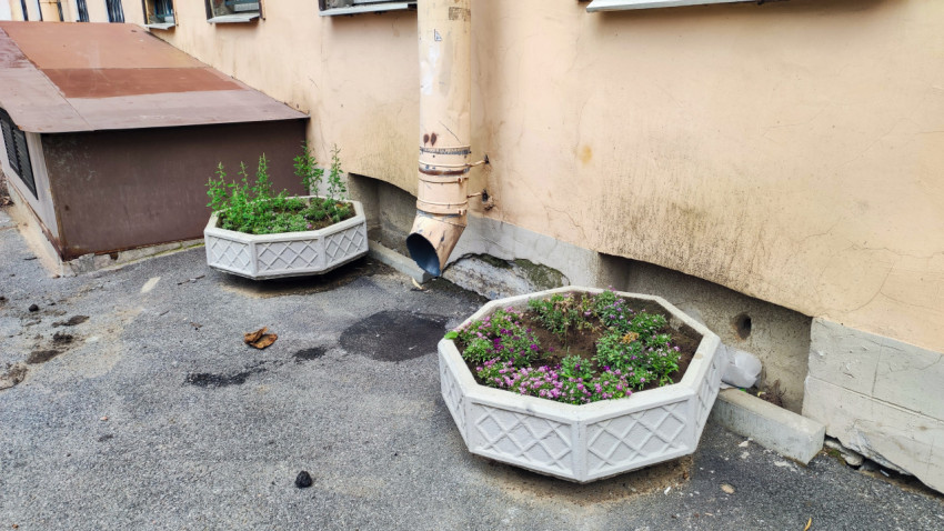 Водосточная труба и повреждённая отмостка у стены дома с бетонными вазонами и растениями