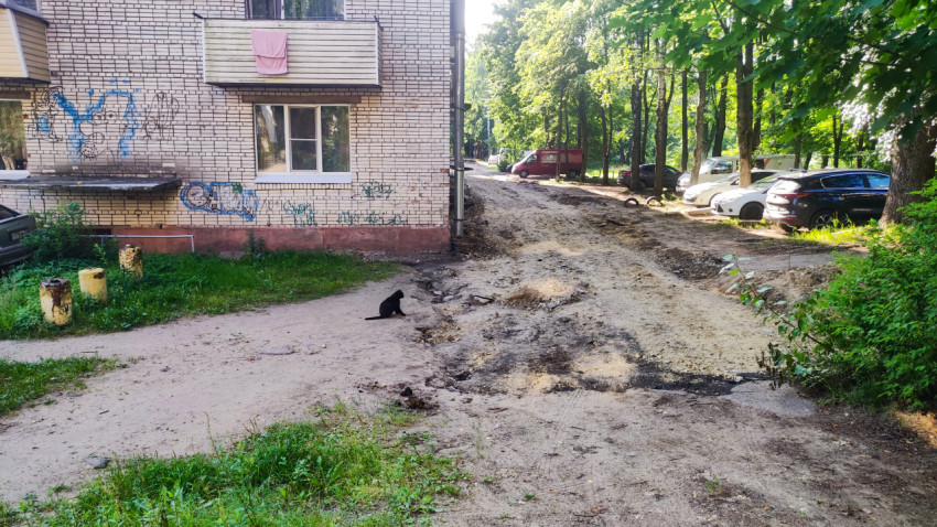 Чёрная кошка сидит на песчаном проезде рядом с жилым домом и участком дворового ремонта