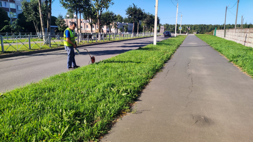 Мужик в жилете поднимает измерительное колесо у обочины и продолжает замеры