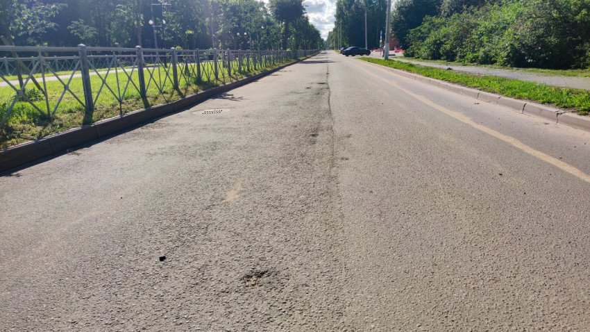 Пустая асфальтовая дорога с пешеходным ограждением и аллеей деревьев