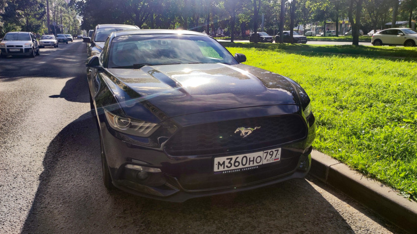Чёрный Ford Mustang припаркован у бордюра на городской улице в солнечный день