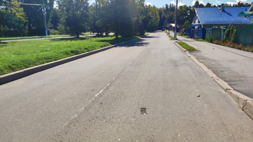 Улица с тротуаром, частным домом, клумбой, пешеходным переходом и знаком перехода вдали