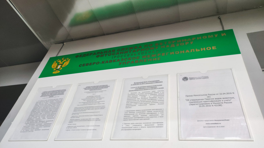 Карманы информационного стенда с памятками, контактами и распечатками