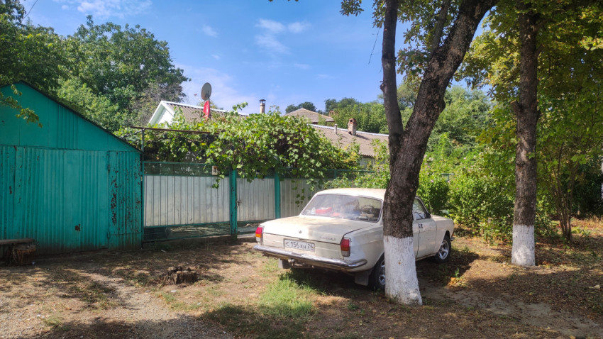 Двор частного дома: зелёный забор, виноградная лоза и старый белый автомобиль