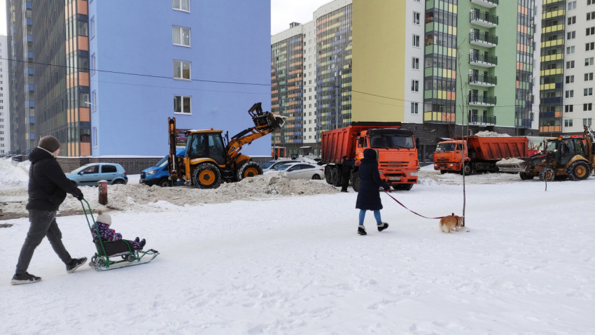 Люди гуляют с собакой в снегу