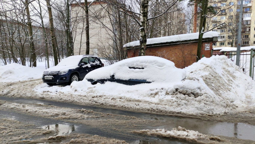 Машины, покрытые снегом