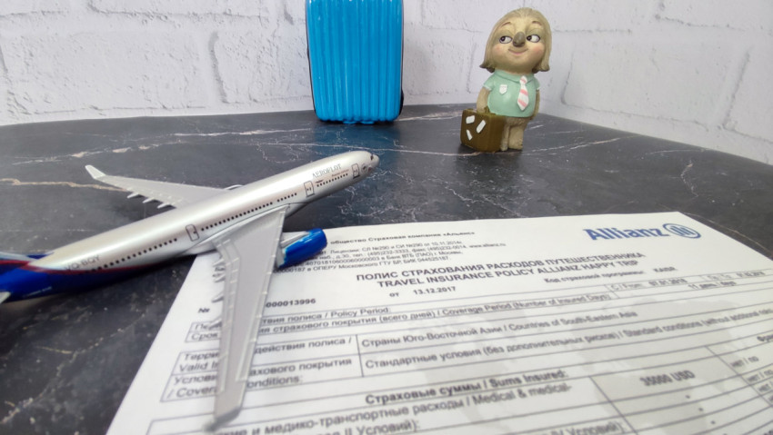 Полис Allianz на столе с самолетом, чемоданом и фигуркой ленивца