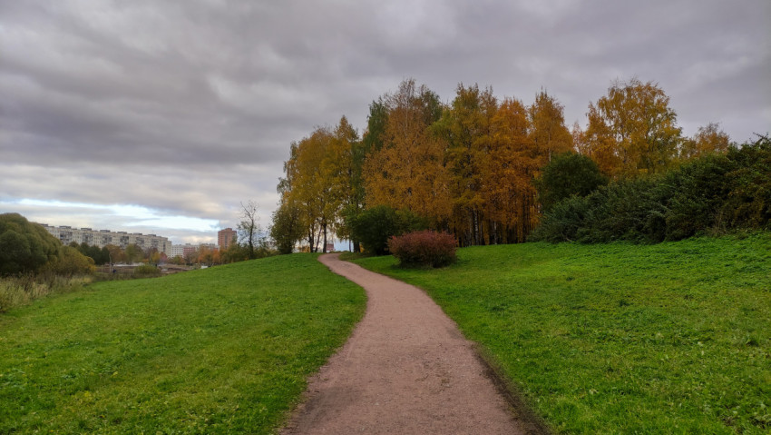 Пешеходная дорожка вдоль зелёного склона в парковой зоне