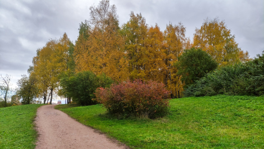 Осенний парк с кустарником и берёзами вдоль тропинки