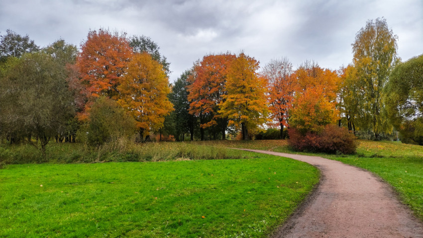 Осенние деревья вдоль парковой дорожки
