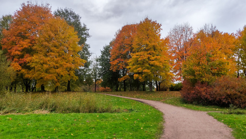 Осенняя аллея в парке с деревьями в жёлто-красных тонах