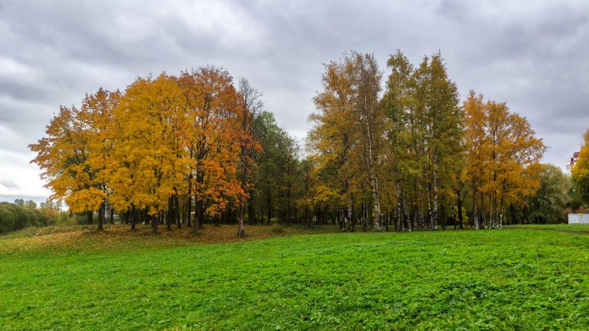 Осенний парк с деревьями на фоне зелёной лужайки