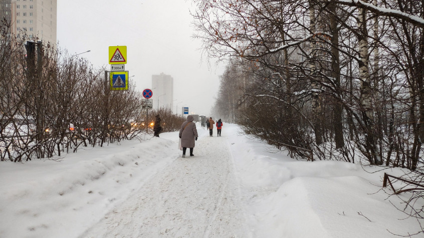 Пешеходная дорожка в жилом районе зимой