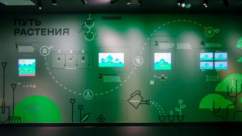 Интерактивная зона «Путь растения» в музейной экспозиции