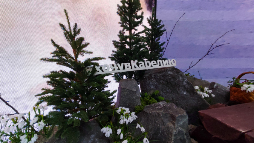 Выставочная композиция с надписью «#хочувКарелию» и зоной отдыха