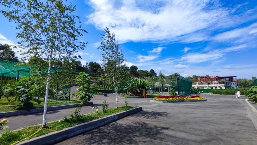 Широкая площадь у вольеров Нальчикского зоопарка