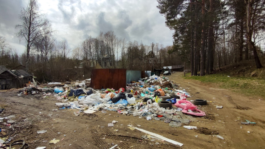 Свалка мусора в лесу рядом с дорогой