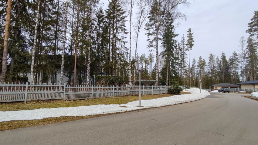 Дорога в дачном поселке, окруженном соснами и снегом