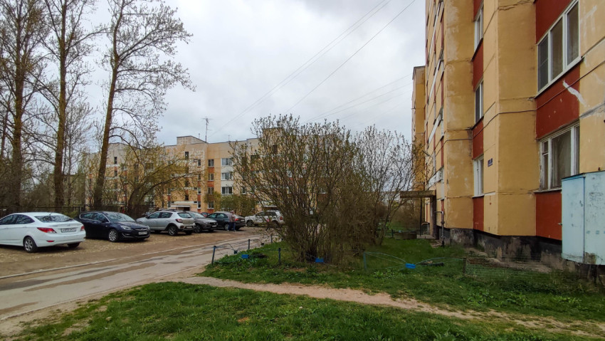 Двор жилых домов с парковкой и зеленью весной