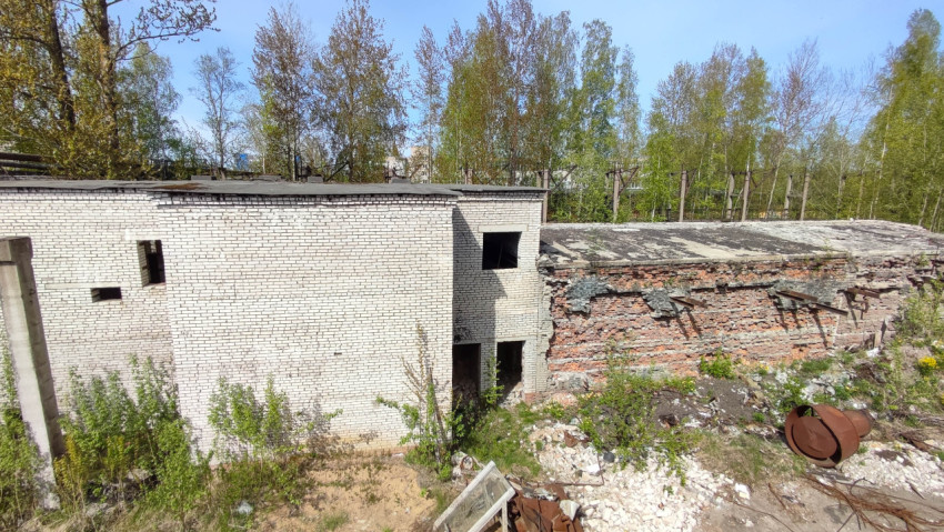 Заброшенное здание, разрушенное и заросшее растительностью