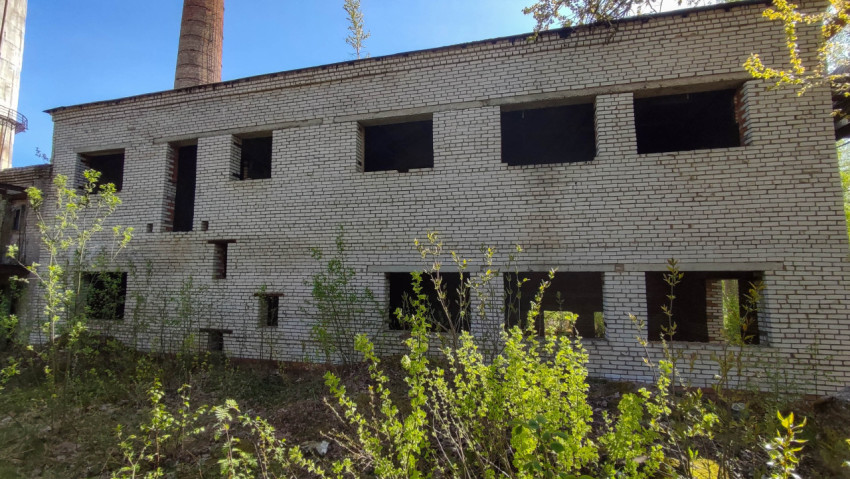 Заброшенное здание, окруженное растительностью и светом солнца