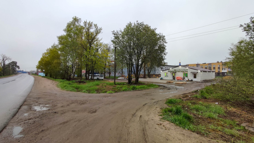 Пейзаж на улице с зелеными деревьями и строениями