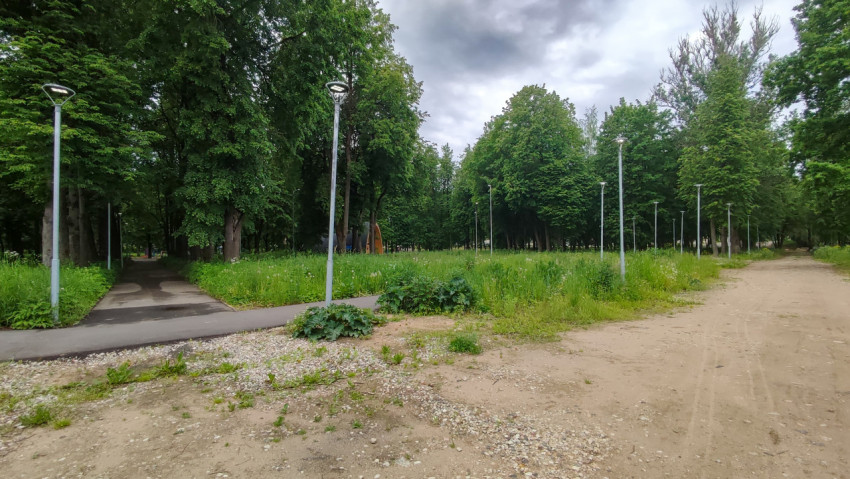 Пейзаж парка с тропами и зелеными насаждениями